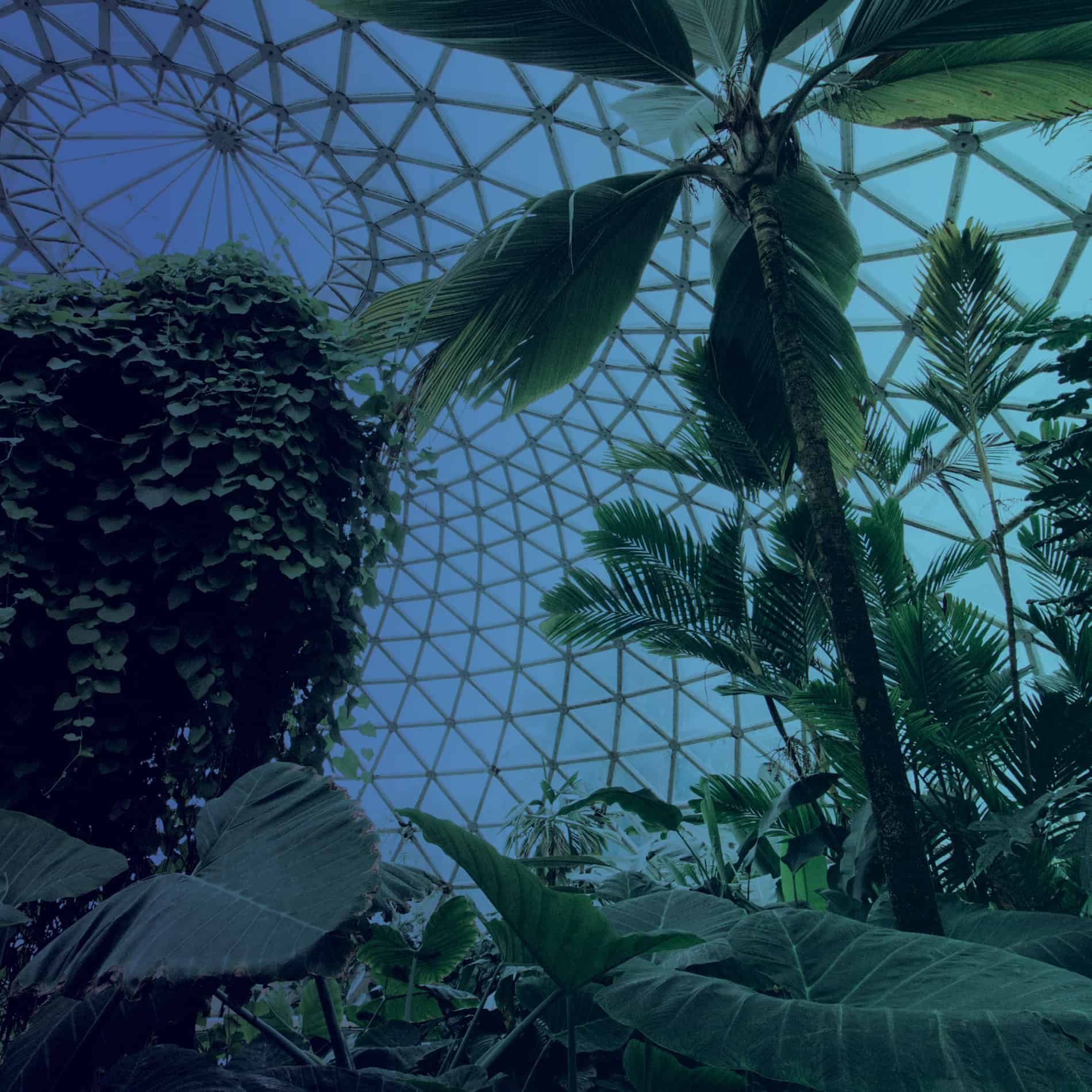 Greenhouse